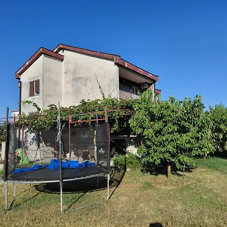Kiwi House * Podgorica